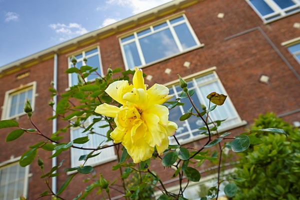 Medium property photo - Spaarwaterstraat 42, 2593 RN The Hague